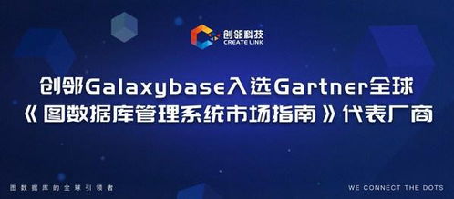 创邻科技galaxybase入选gartner全球 图数据库管理系统市场指南 代表厂商
