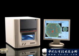 全自动菌落计数仪 杭州迅数科技引领信息技术革新