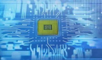 浙江大学信息技术类专业 前景广阔的高薪就业之选